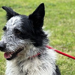 Photo of Cash