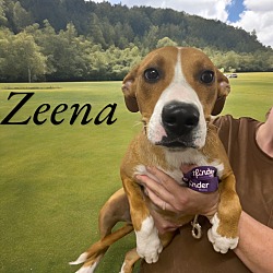 Photo of Zeena