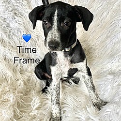 Photo of Time Frame