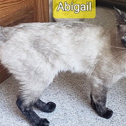 Thumbnail photo of Abigail #2