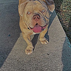Photo of Biggs