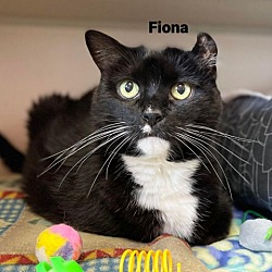Photo of Fiona 23063