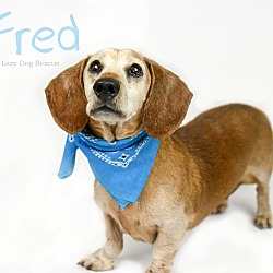Thumbnail photo of Fred #1