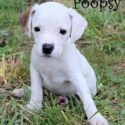 Thumbnail photo of Poopsy ~ meet me! #4