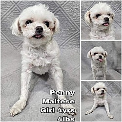 Thumbnail photo of Penny from Korea #1