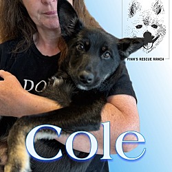 Photo of Cole