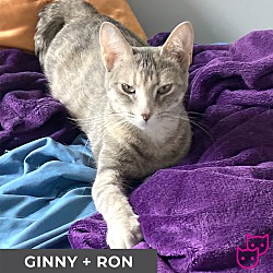 Thumbnail photo of Ginny #2