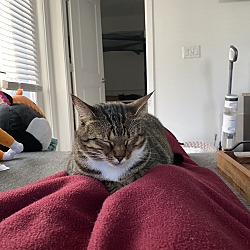 Photo of Bug