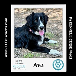 Photo of Ava 042024