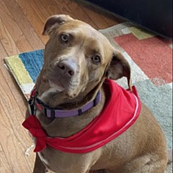Photo of Rylie