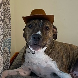 Photo of Cowboy