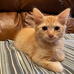 Photo of Max