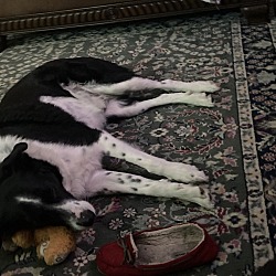Photo of Oli