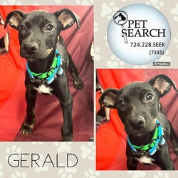 Thumbnail photo of Gerald #1