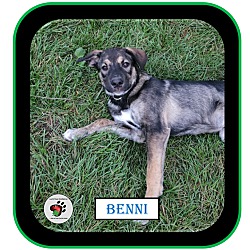 Thumbnail photo of Benni UPDATED #3
