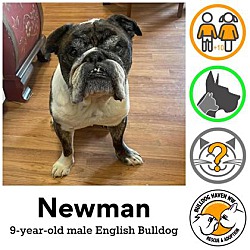 Thumbnail photo of Newman #1