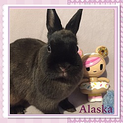 Thumbnail photo of Alaska #4