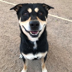 Photo of ZEUS