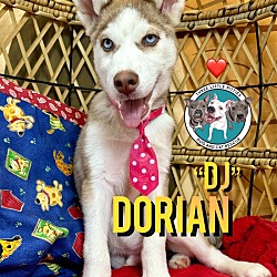 Thumbnail photo of Dorian Jean AKA DJ #1