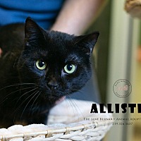 Photo of Allister
