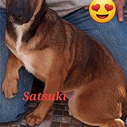 Photo of Satsuki