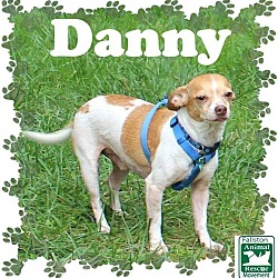 Thumbnail photo of Danny #1