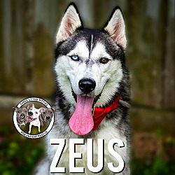 Photo of Zeus Orem