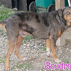 Thumbnail photo of Boudreaux #1