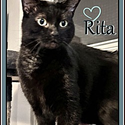 Thumbnail photo of RITA #2