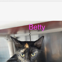 Photo of betty