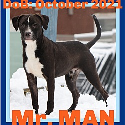Thumbnail photo of Mr. Man - $250 #1