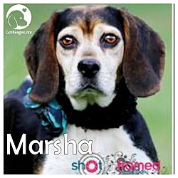 Thumbnail photo of Marsha #1