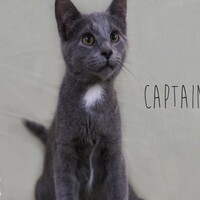 Photo of Captain