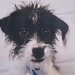 Photo of Drizella