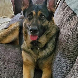 Photo of Zelda Berlin