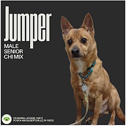 Photo of Jumper