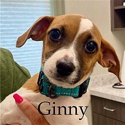 Thumbnail photo of Ginny #1