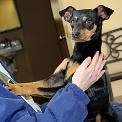 Thumbnail photo of Abigail~adopted! #3