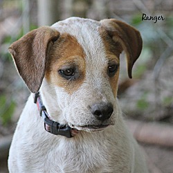 Photo of Ranger
