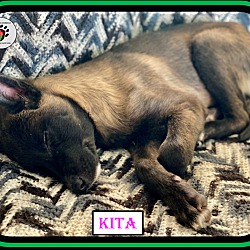 Thumbnail photo of Kita #2