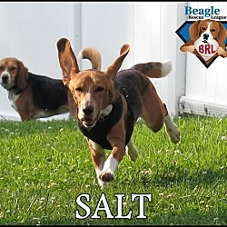 Thumbnail photo of Salt #3