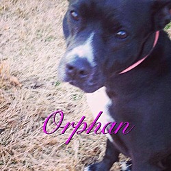 Thumbnail photo of Orphan #1