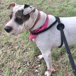 Thumbnail photo of Elsa #3