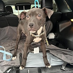 Photo of Oso CG