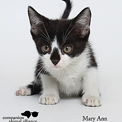 Thumbnail photo of Mary Ann (Foster) #3