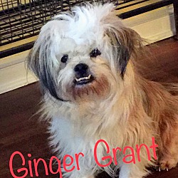 Thumbnail photo of Ginger Grant #1