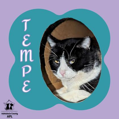 Photo of Tempe