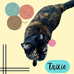 Thumbnail photo of Trixie #1