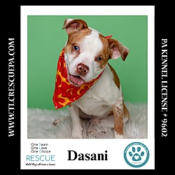 Thumbnail photo of Dasani 090724 #2