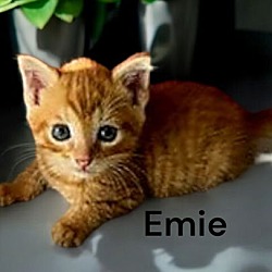 Thumbnail photo of Emie #2